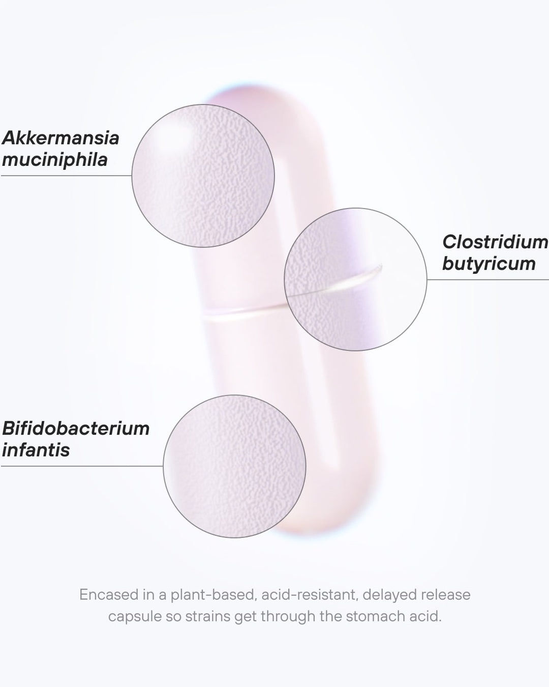 Akkermensia GLP-1 Probiotic， 30capsuls